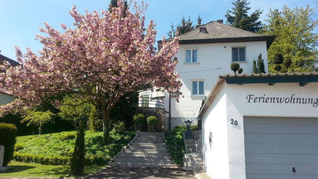 Апартаменты Burgauer Hof Номер фото
